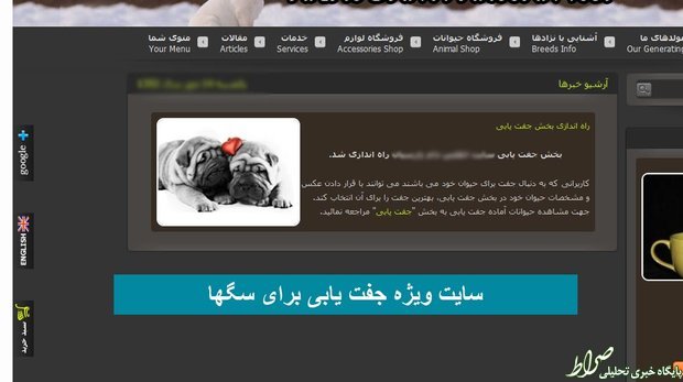 عکس/ سایت ویژه جفتیابی برای سگها عکس/ سایت ویژه جفتیابی برای سگها