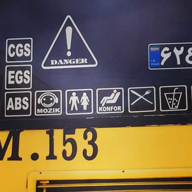 عکس/ وصیت عجیب ترانه علیدوستی!