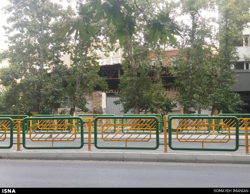 دامداری در وسط شهر تهران! +تصاویر
