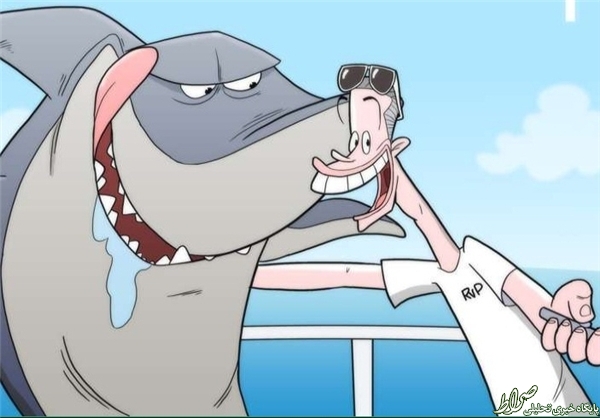 کاریکاتور/ سلفی فان پرسی با کوسه ماهی کاریکاتور/ سلفی فان پرسی با کوسه ماهی