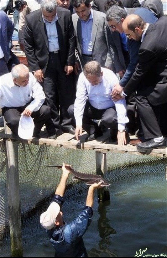 عکس/ معاون روحانی در حال ماهیگیری