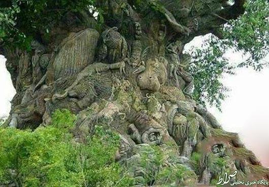 عکس/ 325 حیوان در تنه یک درخت! عکس/ 325 حیوان در تنه یک درخت!