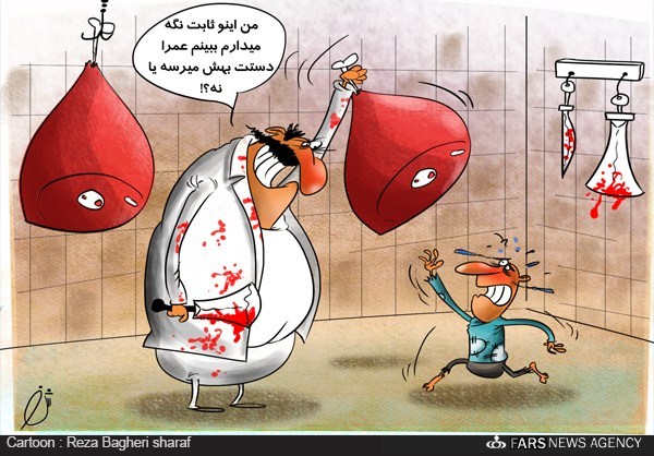 کاریکاتور/ قیمت گوشت ثابت می ماند
