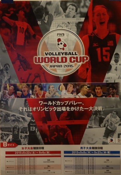 عکس/ امیر غفور در پوستر جام جهانی