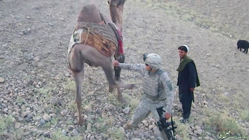 عکس/ جفتک شترطالبان به سربازآمریکایی