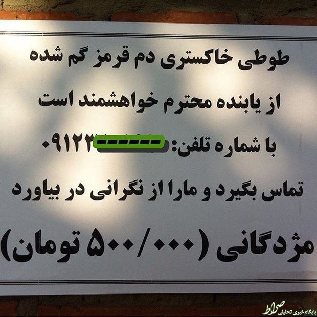 عکس/ مژدگانی نیممیلیونی برای یک طوطی! عکس/ مژدگانی نیممیلیونی برای یک طوطی!