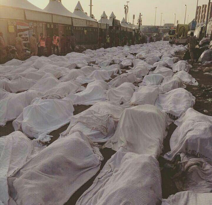 تصویری غم انگیز از غروب منا