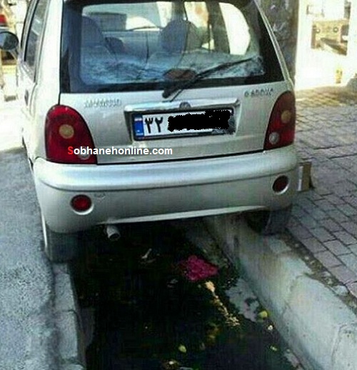 عکس/ شاهکار پارک یک ایرانی