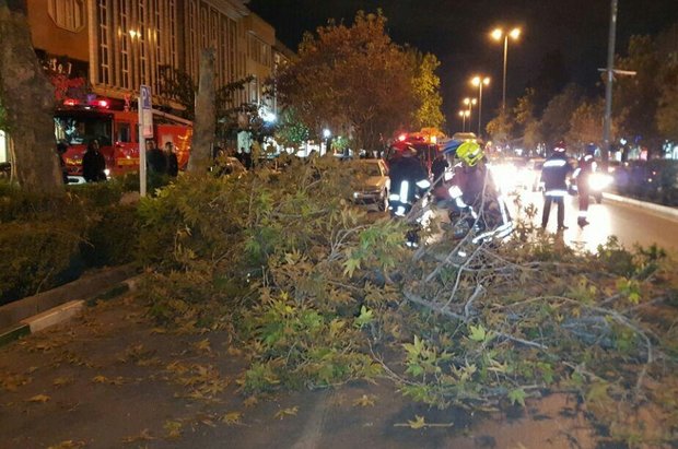 ۱۳۹ حادثه درکمتر از 3ساعت درمشهد