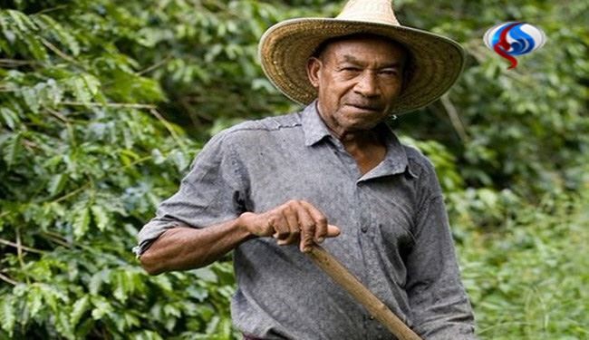 کشاورزی که یک شبه میلیونر شد!+عکس کشاورزی که یک شبه میلیونر شد!+عکس