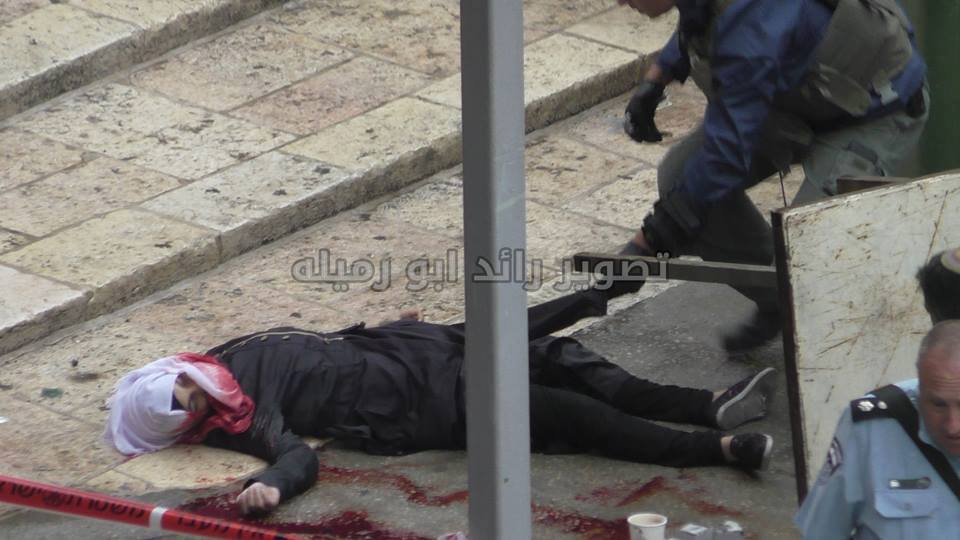 دختری‌که درالخلیل شهیدشدکه بود؟+تصاویر