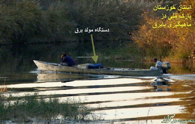 ماهیگیری با برقی در جنوب ایران +تصاویر