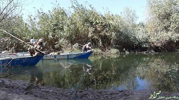 ماهیگیری با برقی در جنوب ایران +تصاویر