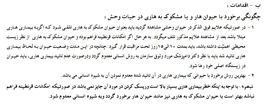 گرگ به روستا زد و مسئولان سرش را بریدند! +تصاویر