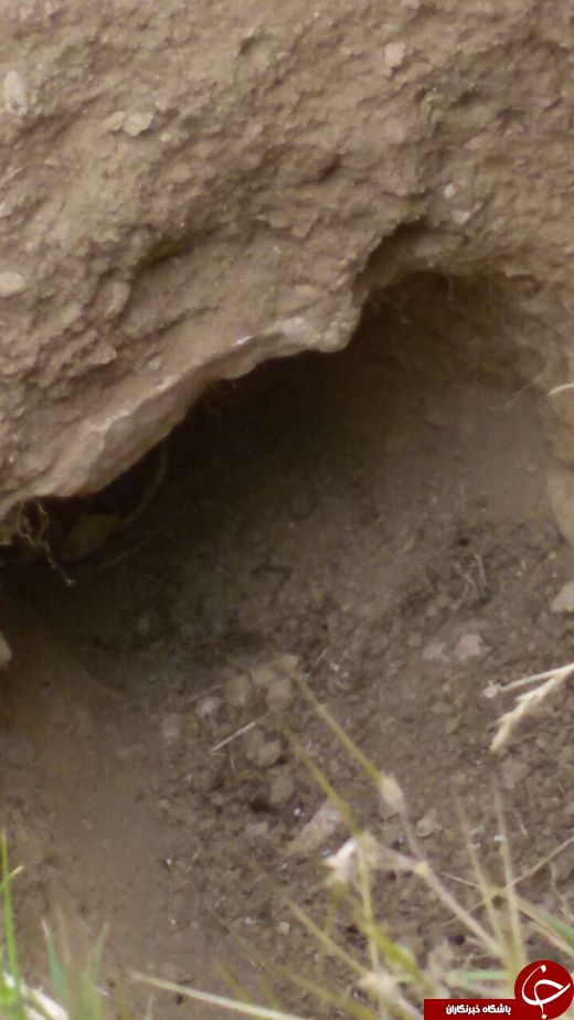 عکس/نبش‌قبر برای دستبرد به خانه ابدی!