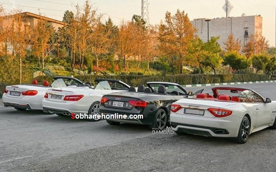 عکس/ 4 کروک خاص موجود در ایران