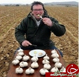 معجزه خوردن یک حبه سیر بطورناشتا + عکس معجزه خوردن یک حبه سیر بطورناشتا + عکس