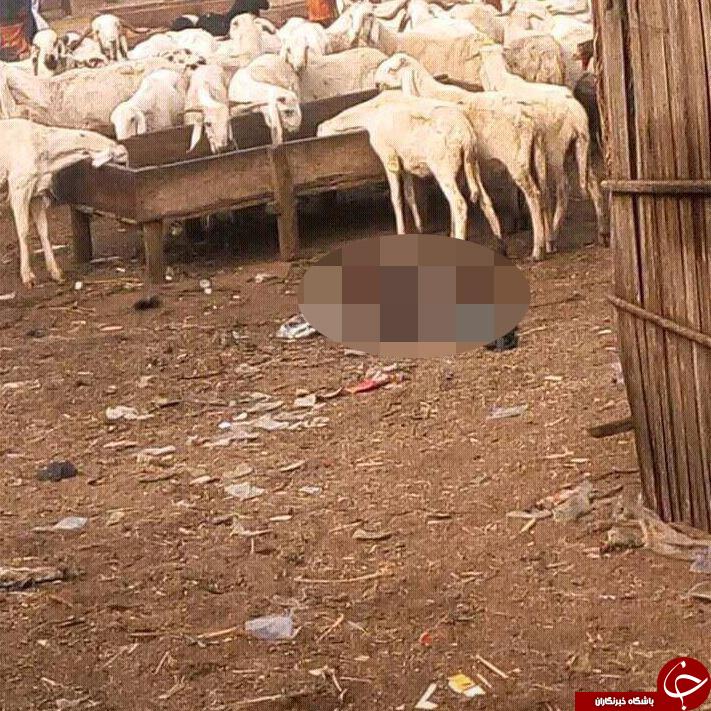 مهاجم زن انتحاری تا سر حد مرگ کتک خورد +تصاویر
