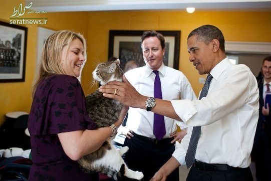 کتک‌کاری گربه‌‌‌های نخست‌وزیر و وزیرخارجه انگلیس+عکس