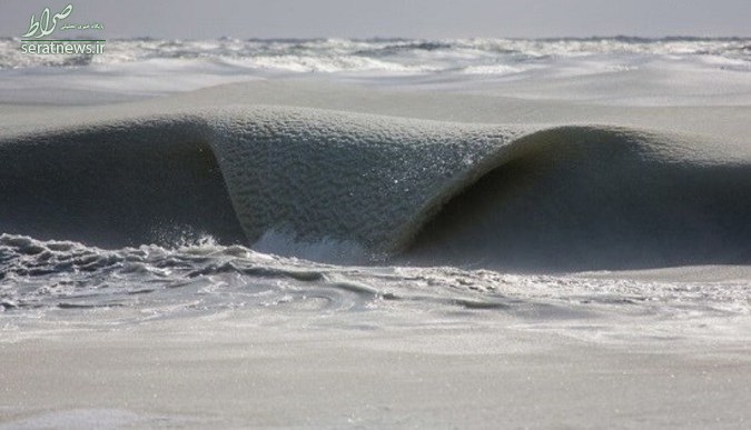 عکس/ امواجی که از سرما یخ زدند!