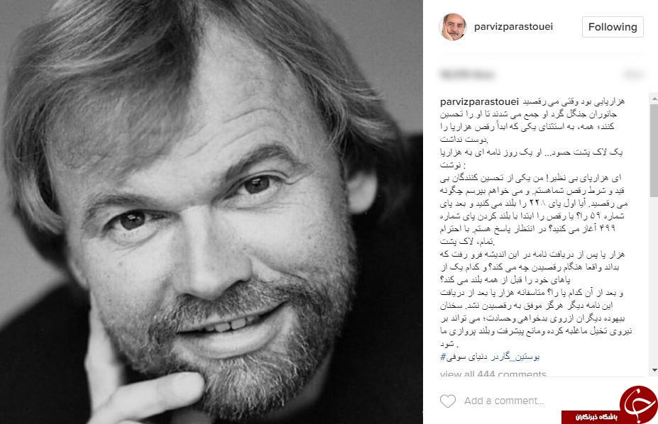 داستان حسادت لاک پشت به روایت پرستویی+عکس