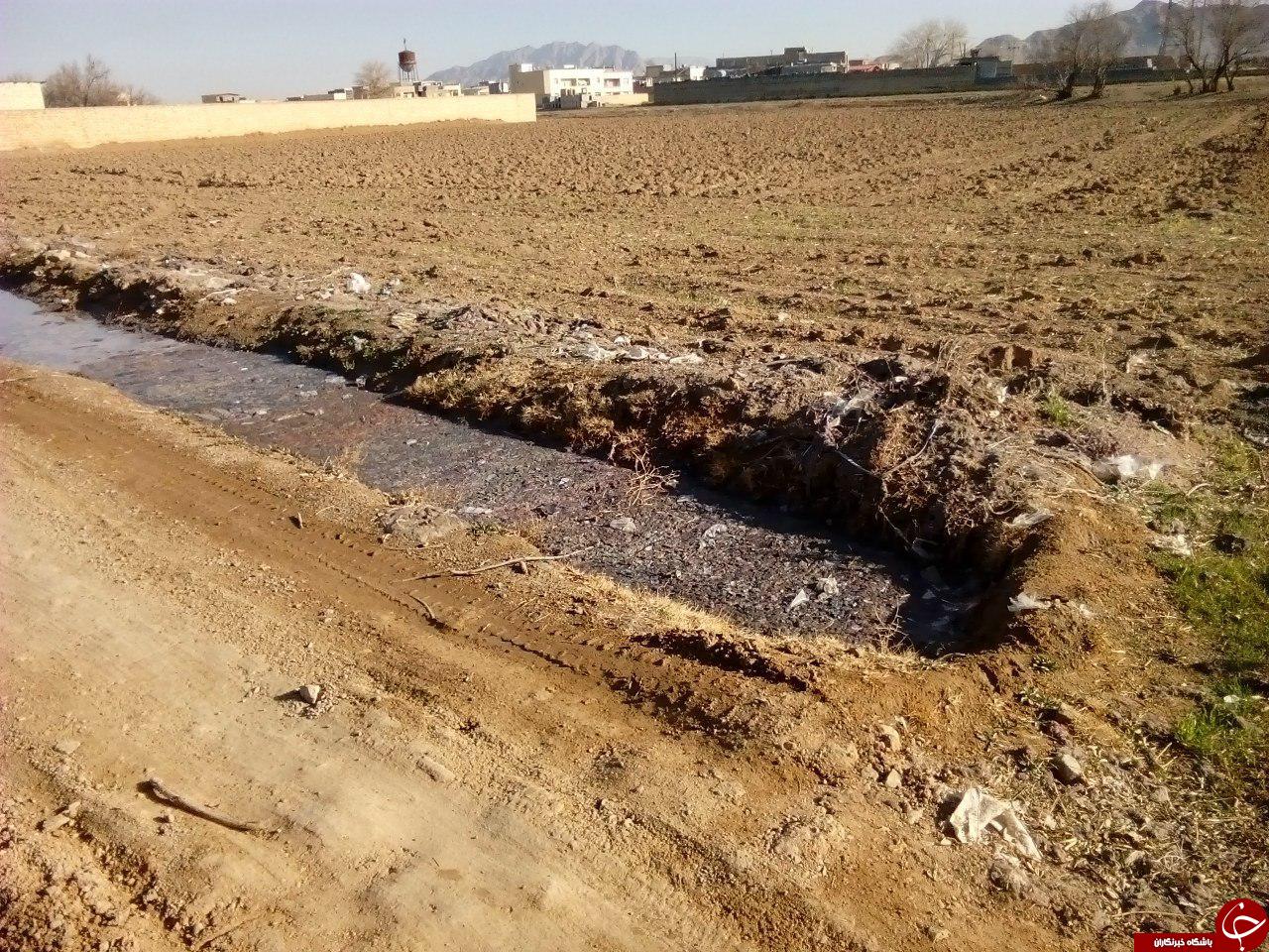 تصاویر/ فاضلاب قالیشویی در زمینهای کشاورزی! تصاویر/ فاضلاب قالیشویی در زمینهای کشاورزی!