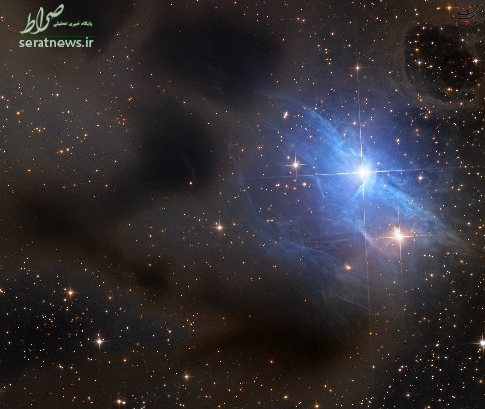 عکس روز ناسا/ سحابی بازتابی vdB ۳۱