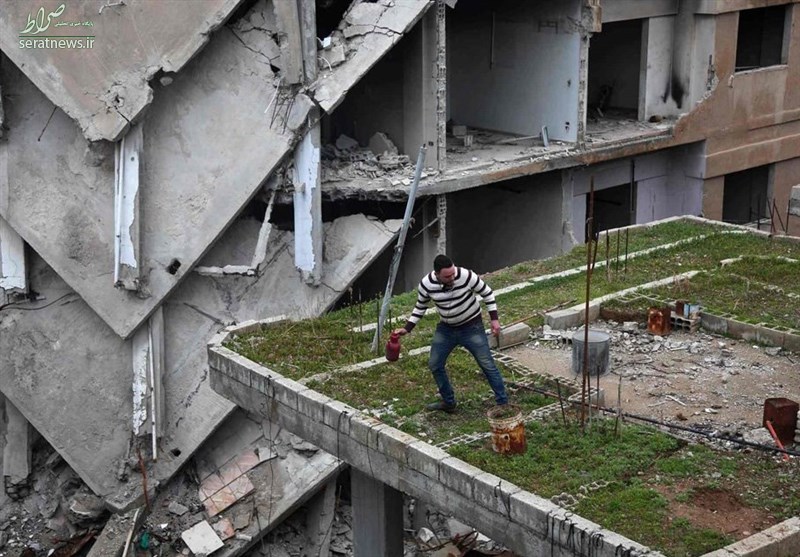 عکس/ باغچهای در ویرانههای دمشق عکس/ باغچهای در ویرانههای دمشق