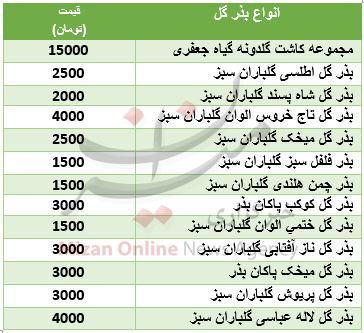 جدول/ خرید بذر گل چقدر هزینه بر است؟ جدول/ خرید بذر گل چقدر هزینه بر است؟