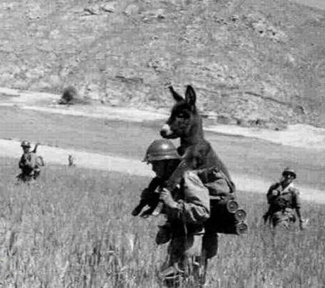 عکسی جالب از جنگ جهانی اول عکسی جالب از جنگ جهانی اول