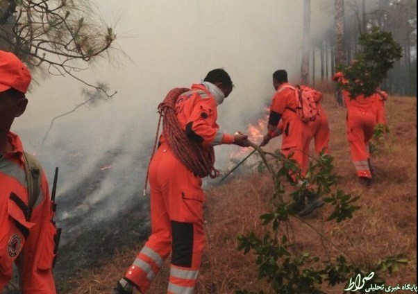 آتش‌سوزی مهیب در جنگل‌های هند +تصاویر