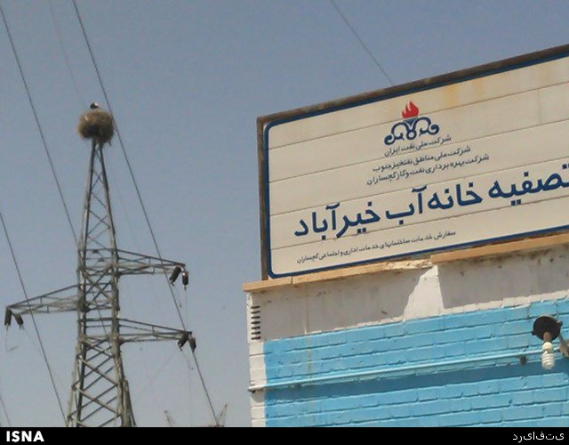 عکس/ 27 سال زندگی روی کابل برق!