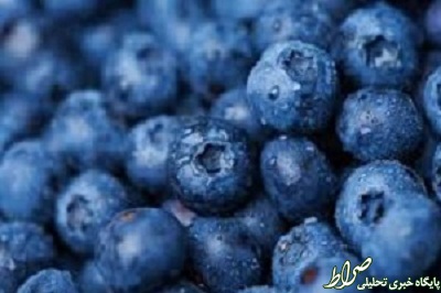 این میوه یخ زدهاش بیشتر خاصیت دارد!+عکس این میوه یخ زدهاش بیشتر خاصیت دارد!+عکس