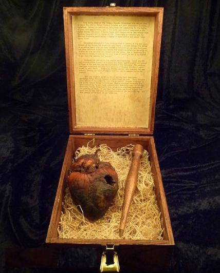 تصویری جالب از یک قلب مومیایی شده تصویری جالب از یک قلب مومیایی شده