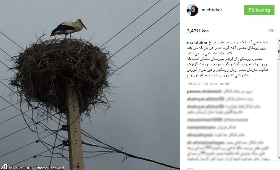 عکس/ پست ابتکار برای لک‌لک‌ها