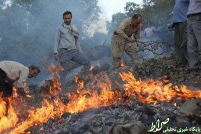 پاسارگاد همچنان در آتش می‌سوزد +عکس
