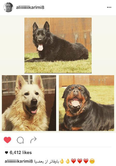 عکس/ كنايه عجيب «جادوگر» به بعضیا!