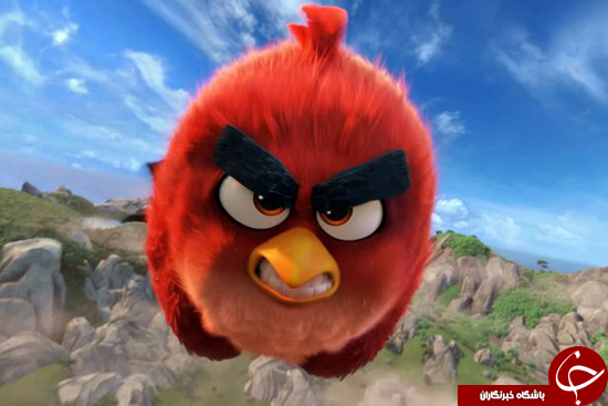 «Angry Birds» در جهان واقعی + تصاویر