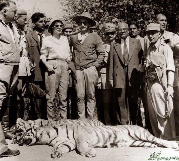 عکس/ شکار ببر توسط محمدرضا پهلوی