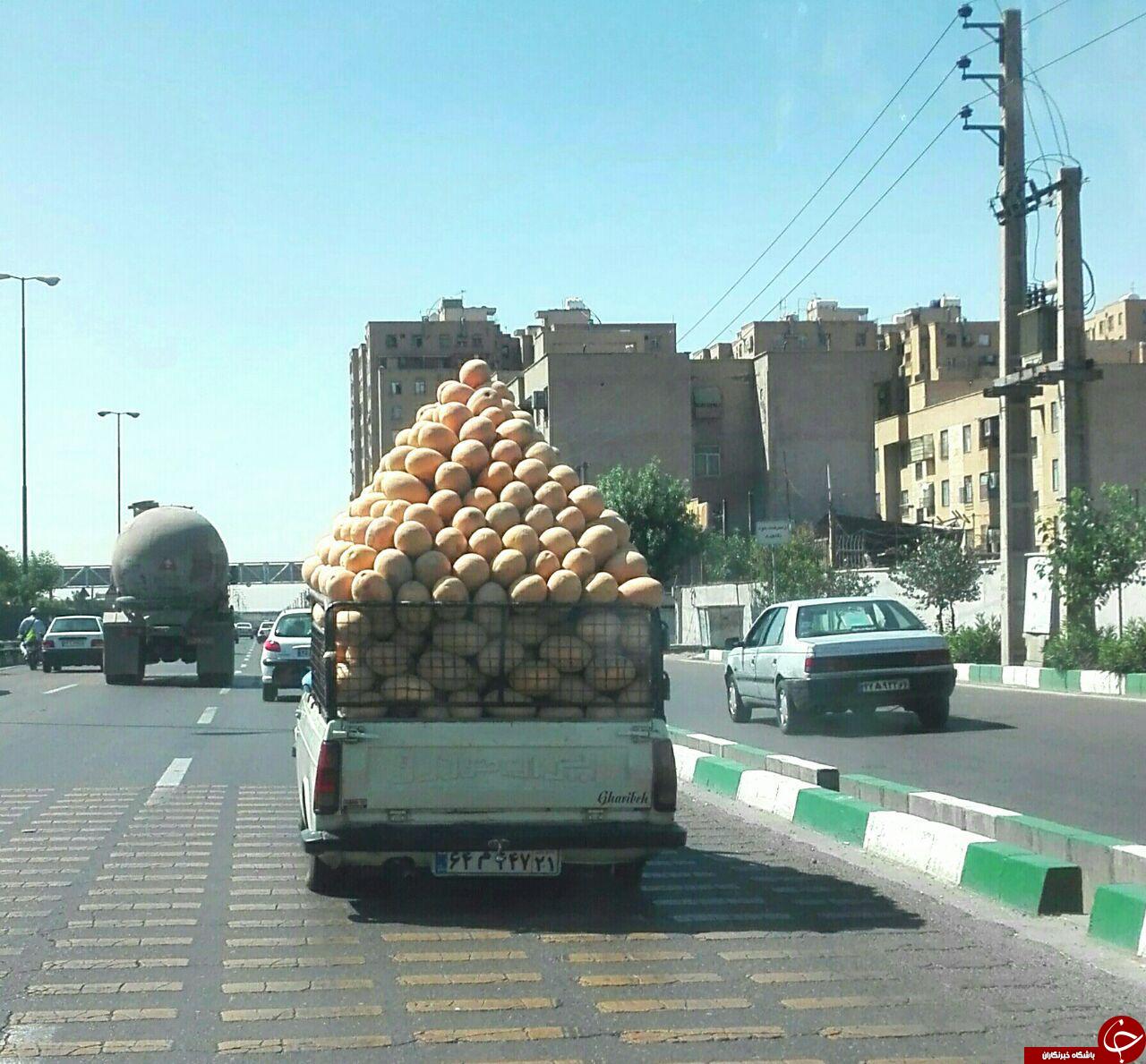 عکس/ وانتی باسلیقه!