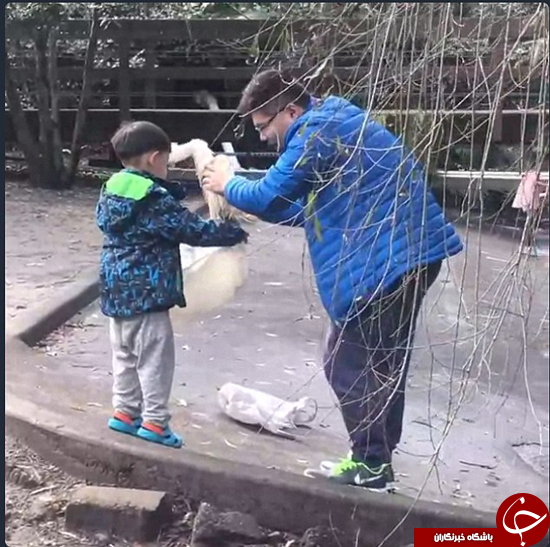 دزدیدن اردک از باغ دولتی! +تصاویر دزدیدن اردک از باغ دولتی! +تصاویر