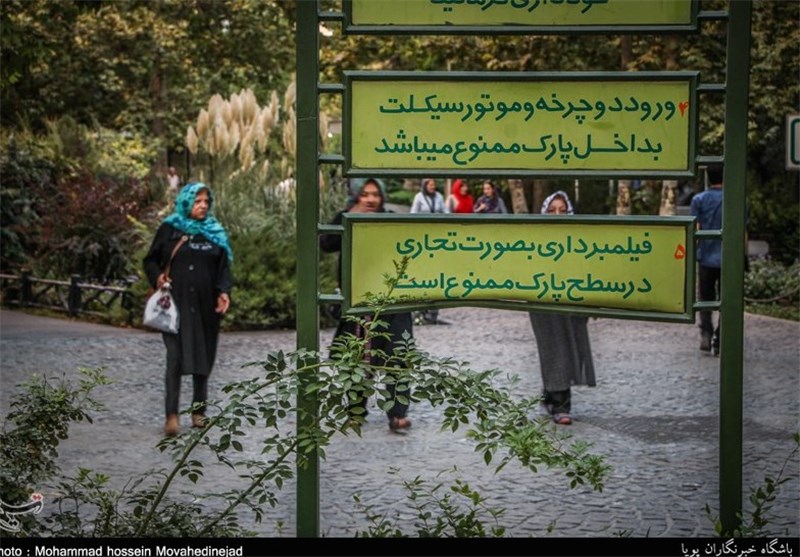 عکس/ «اینجا» کار تبلیغاتی ممنوع است