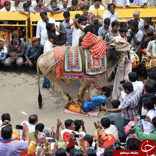 عکس/ نمایش دردآور یک هندو