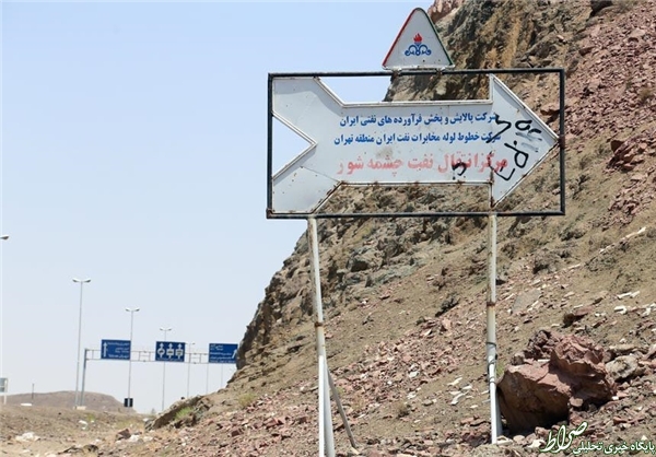 اینجا انسان و حیوان همپیالهاند+تصاویر اینجا انسان و حیوان همپیالهاند+تصاویر