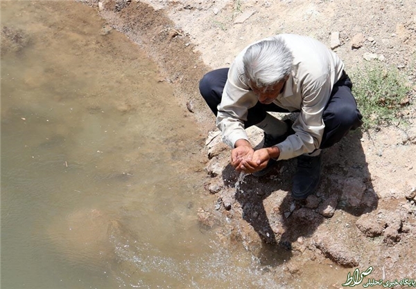 اینجا انسان و حیوان همپیالهاند+تصاویر اینجا انسان و حیوان همپیالهاند+تصاویر