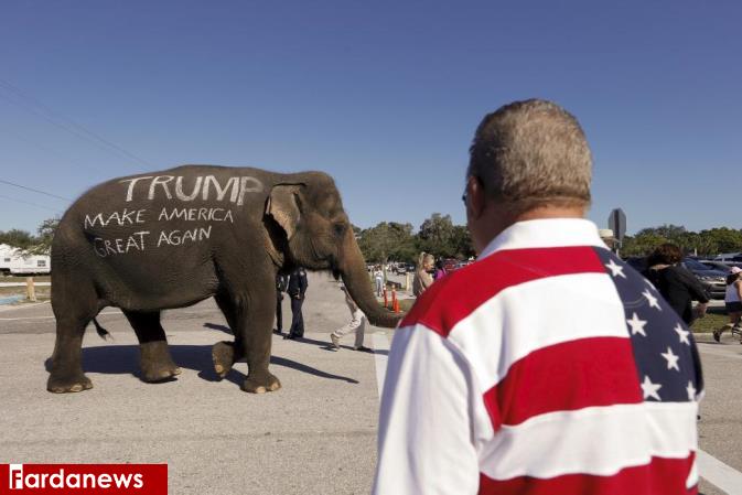 عکس/ تبلیغ عجیب ترامپ در فلوریدا عکس/ تبلیغ عجیب ترامپ در فلوریدا