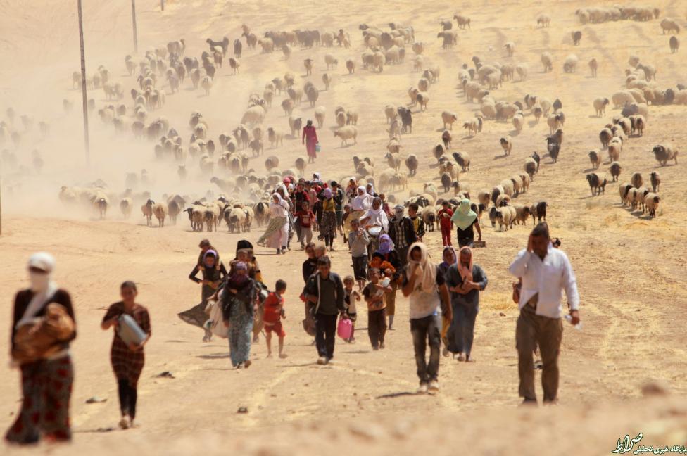کس/ آوارگان ایزدی در حال فرار از دست داعش