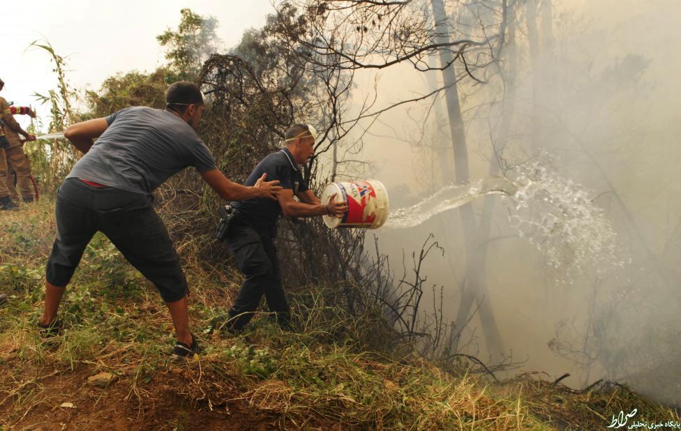 عکس/ خاموش کردن آتش سوزی جنگل با سطل آب