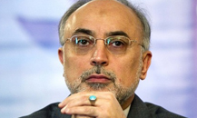 صالحی همکاری محرمانه با غرب را رد کرد صالحی همکاری محرمانه با غرب را رد کرد
