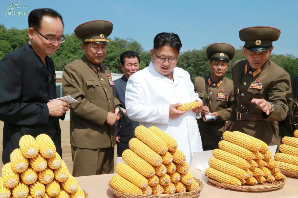 عکس/رهبر کره شمالی در نقش مشاور کشاورزی